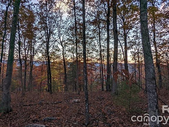 4th image of 512 Wild River Run #65