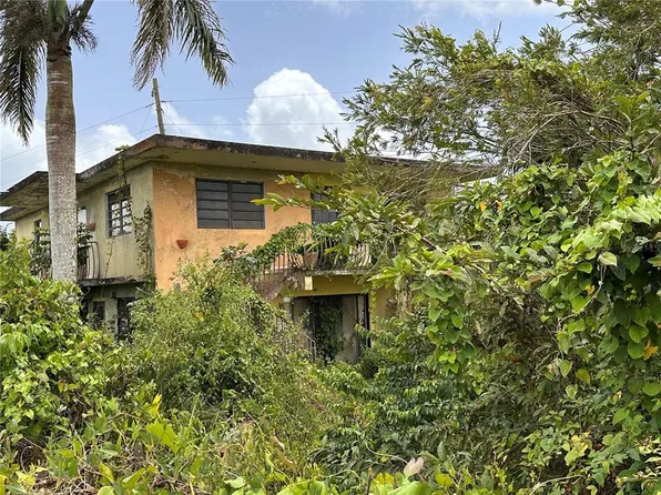 (undisclosed Address), Orocovis, PR 00720