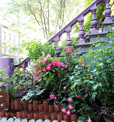 Rented by R New York | media 9