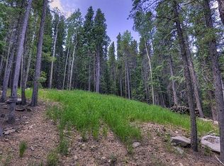 198 Castlewood Dr, Evergreen, CO 80439