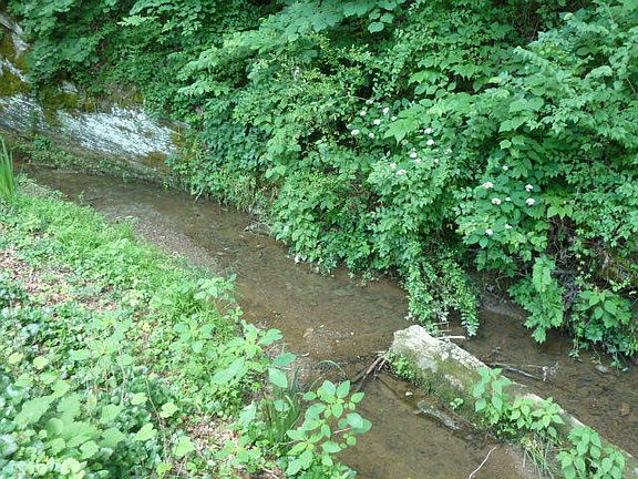4th image of 3944 Valley Creek Way