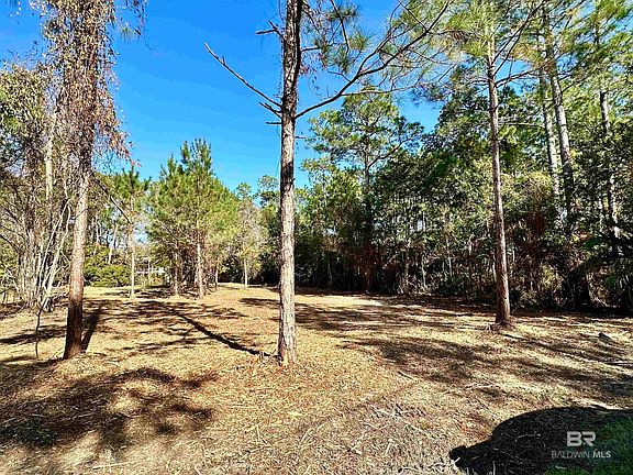 4th image of 40707 Canal Cir #53