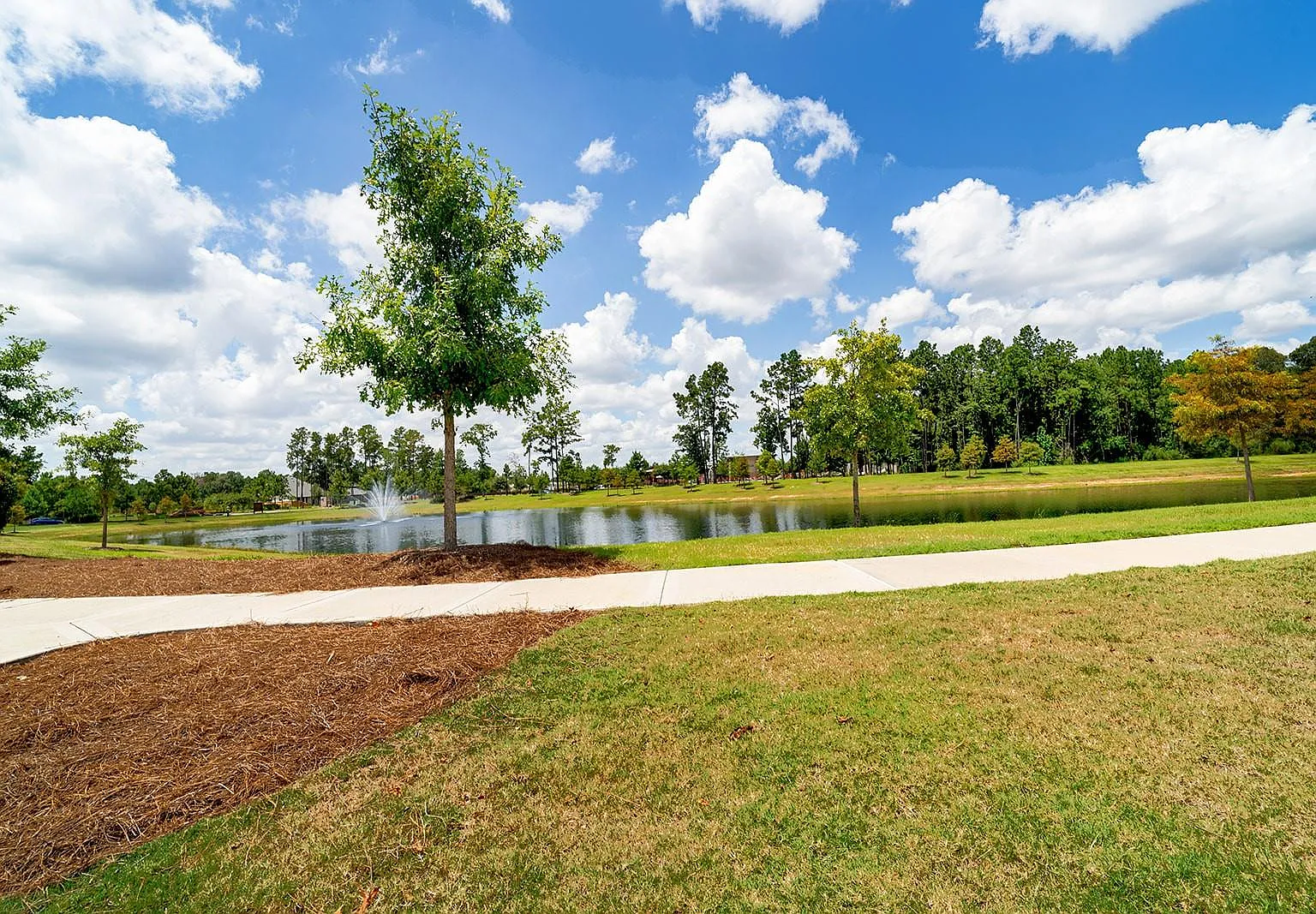 4 bed, 3.0 bath, 2166 sqft, $2,500 — Photo 4