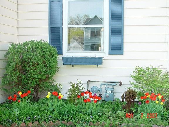 Flowers in spring/summer