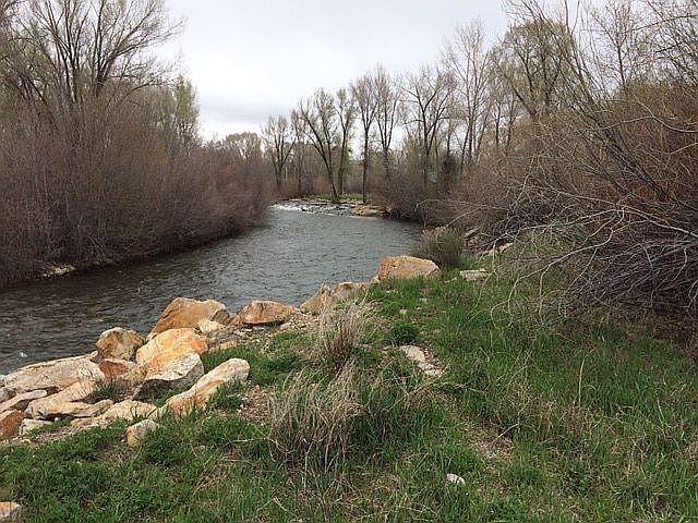 1st image of 445 County Road 11