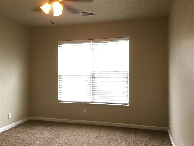 2007 Blossom Valley Ct — Photo 9