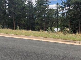 406 Falcons Rest Pl, Woodland Park, CO 80863