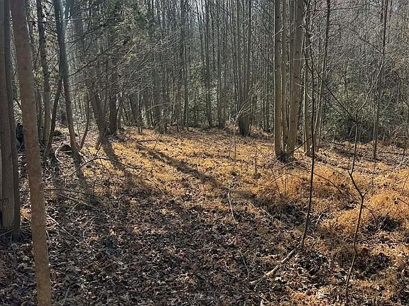 2nd image of 1 Rock Creek Church Rd