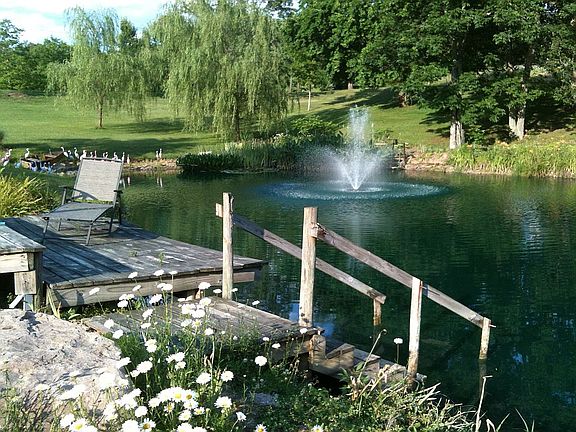 Pond dock and steps/fountain