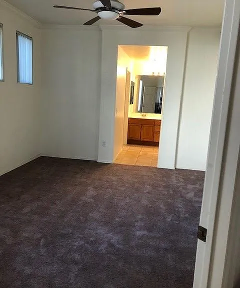 master bedroom/suite