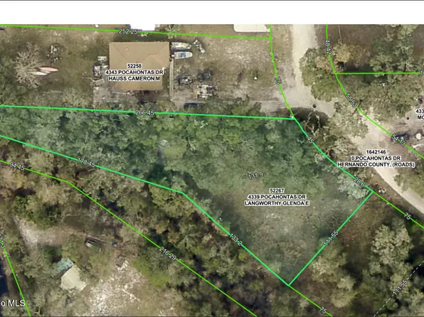 4339 Pocahontas Dr, Dade City, FL 33523