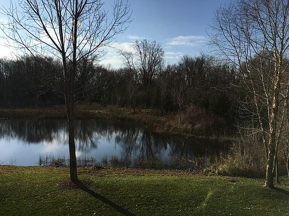 Western pond view