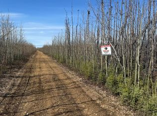 Nhn Kobe Ag Rd, Anderson, AK 99744