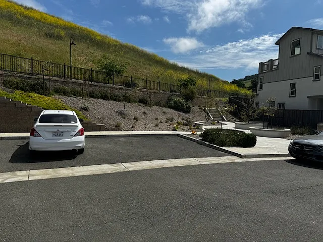 4483 Tahiti Ct — Photo 24