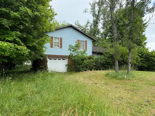 60 Deer Creek Dr, Nettie, WV 26681