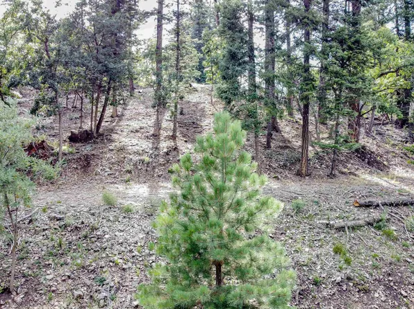 LOT 17 Woodlands Way, Cloudcroft, NM 88317