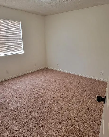 2557 Diamond St — Photo 7