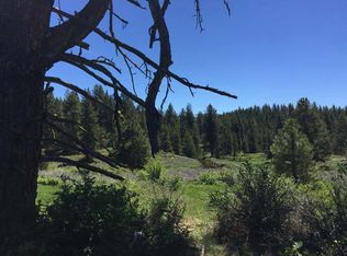 19 Kirk Way, Cascade, ID 83611