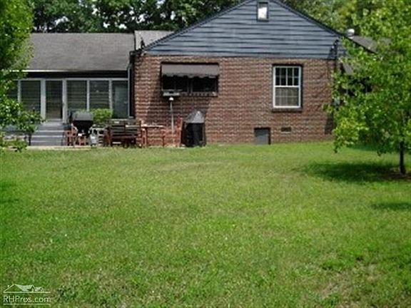 Back view
