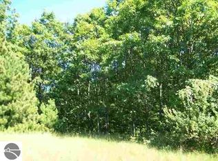 9 Torch Hills Ln, Rapid City, MI 49676