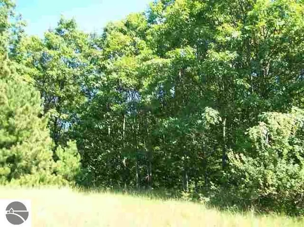 9 Torch Hills Ln, Rapid City, MI 49676