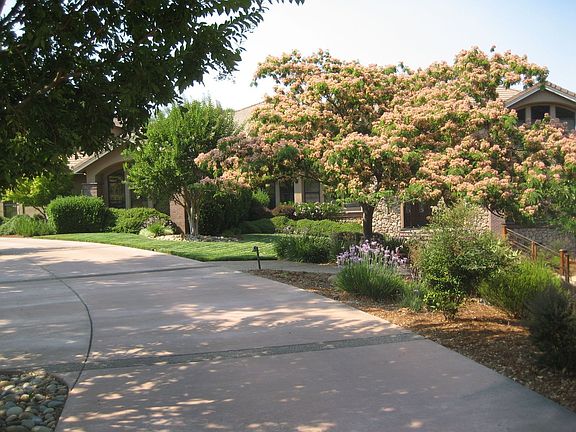 Professionally landscaped 