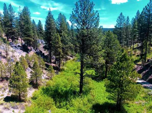 5 S Meadow Creek Dr, Idaho City, ID 83631