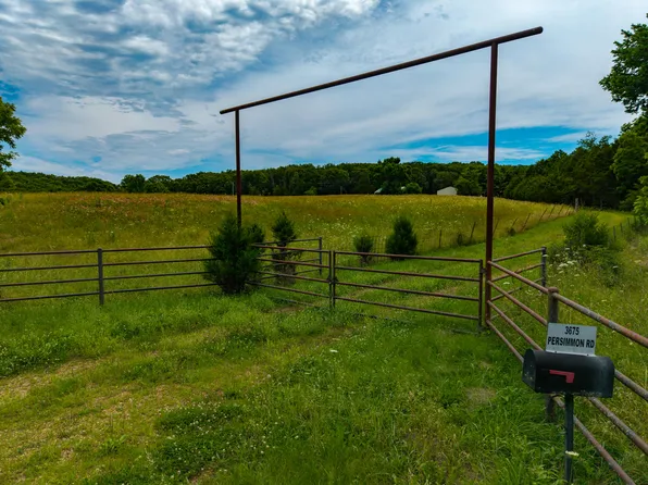 3675 Persimmon Road, Grovespring, MO 65662