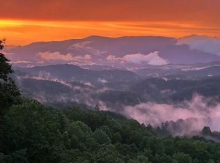 670 Twin Coves Rd, Bryson City, NC 28713