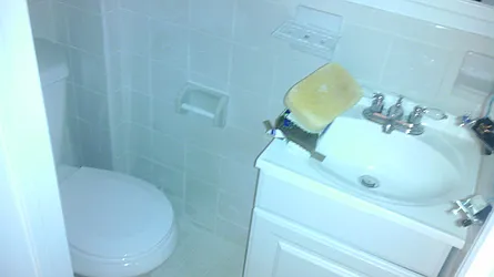 Rented by New York Residence