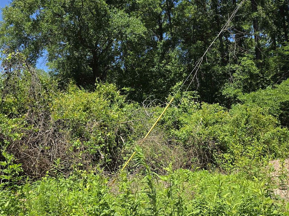 1st image of Tree Top Ln
