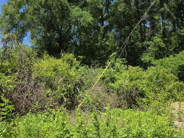 Tree Top Ln, Easley, SC 29642
