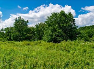 169 Tanzman Rd, Parksville, NY 12768