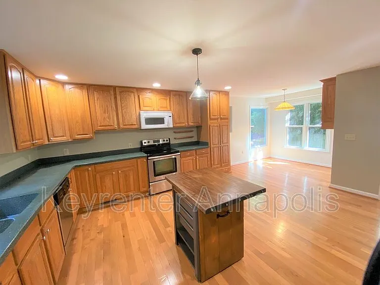 1161 Green Holly Dr — Photo 5