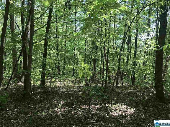 3rd image of 0 Shoal Crest Dr Lot 12-13