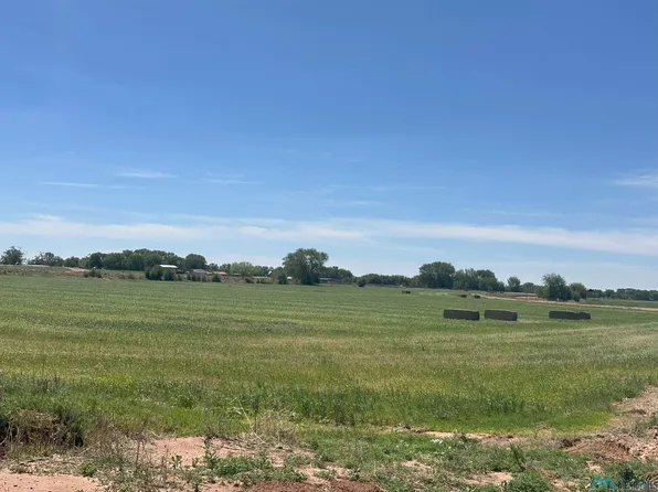 Pecan Dr, Fort Sumner, NM 88119