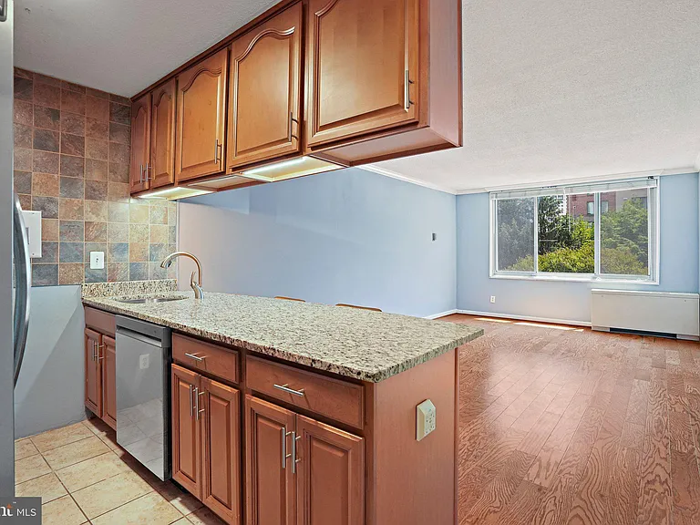 11801 Rockville Pike #209 — Photo 10