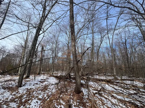 6001 County Road X, Webster, WI 54893