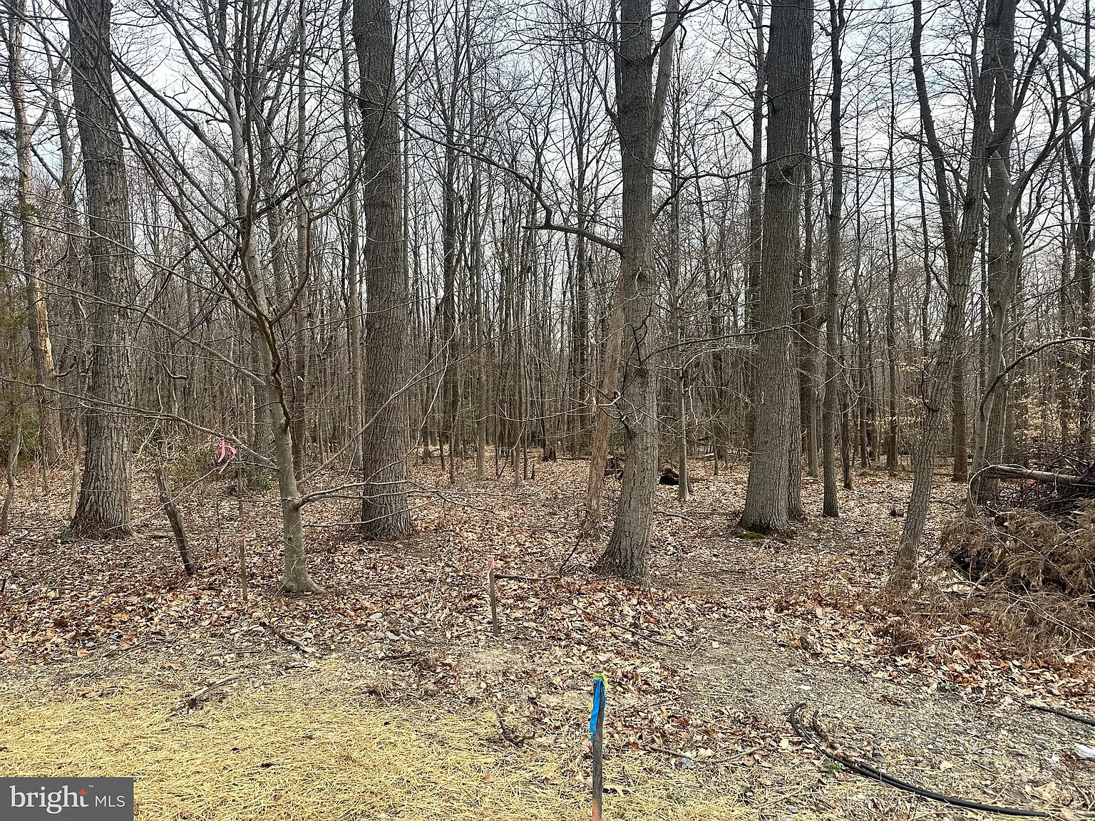 2507 Mountain Rd photo 1