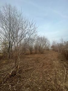0 Griswold Rd, Manitou Beach, MI, 49253