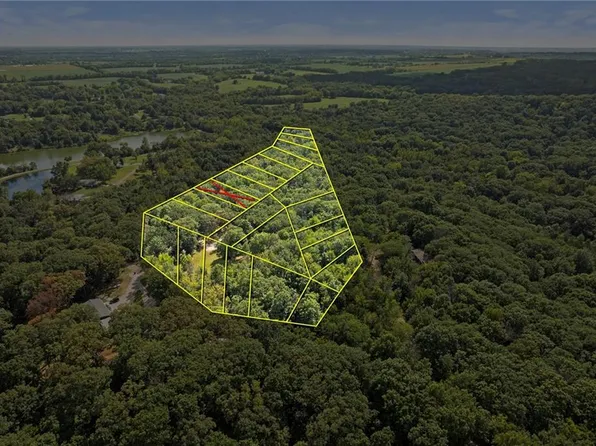 Young Dr, Odessa, MO 64076