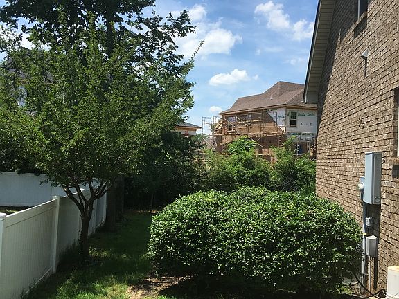 Left Side Cherry Tree