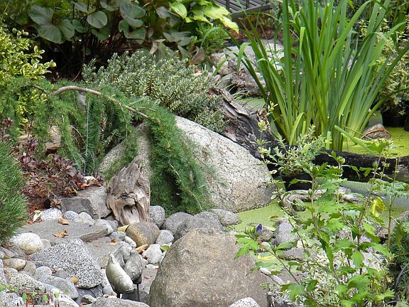 Backyard water feature-with bridge