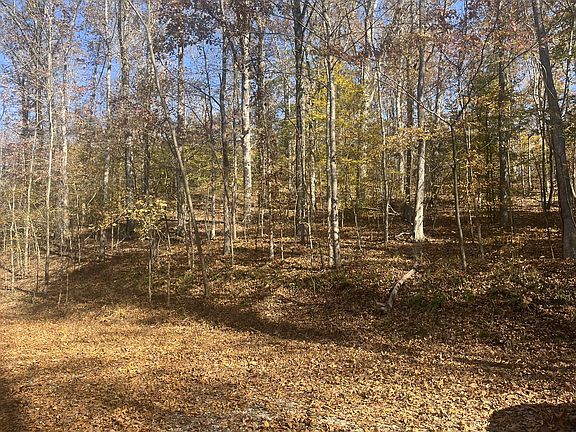 2nd image of 0 Arrow Head Cir Lot 102