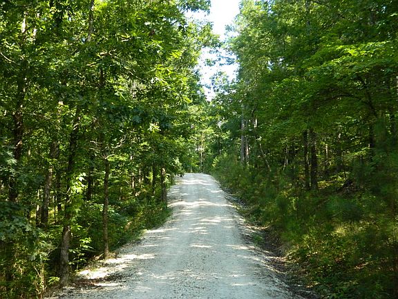 Wooded entrance to the lot