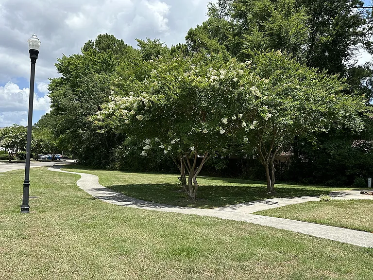 Willow Trace — Photo 6