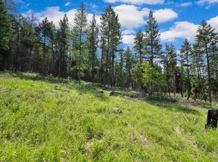 437 Buffalo Trl, Somers, MT 59932