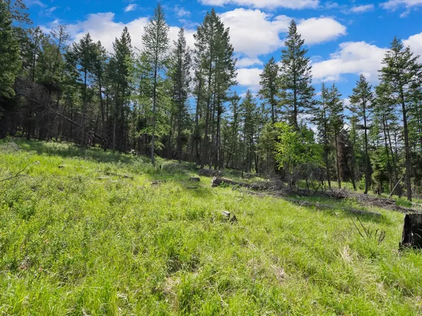 437 Buffalo Trl, Somers, MT 59932