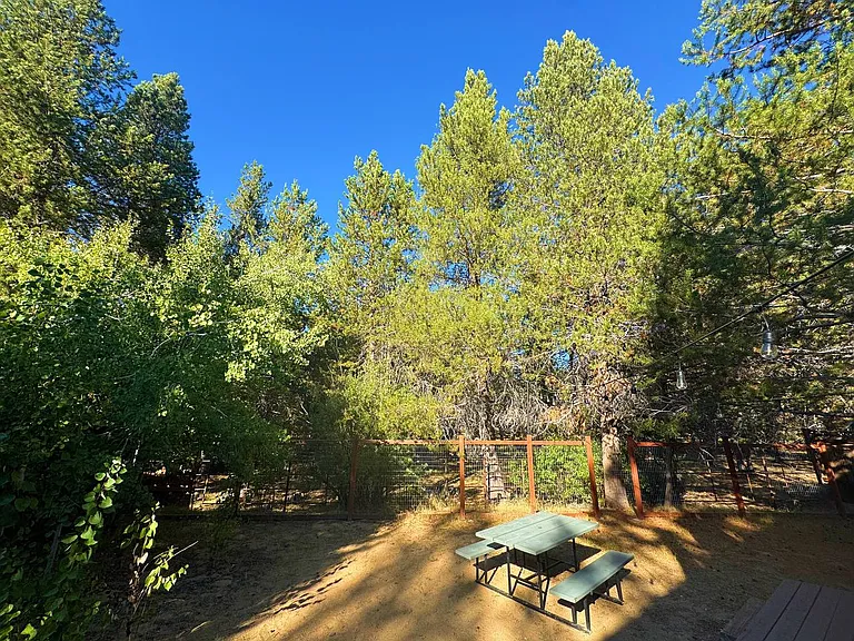 1413 Friant Dr — Photo 28