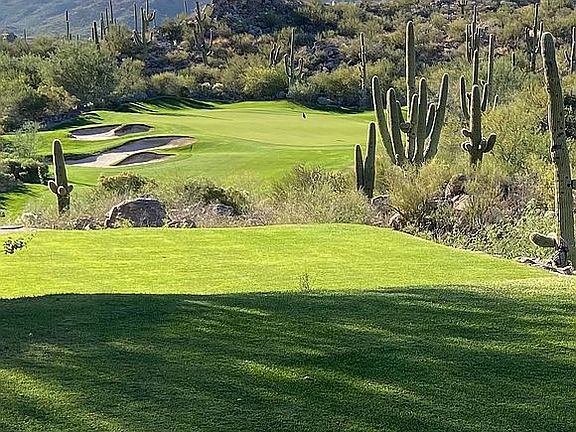 5th image of 14342 N Mickelson Canyon Ct